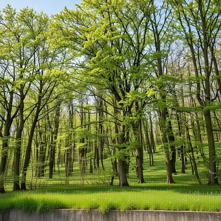 Cosy At Hambachtal Appartement