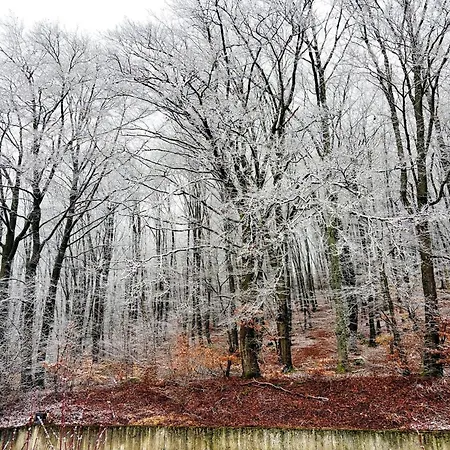 Cosy At Hambachtal Appartement