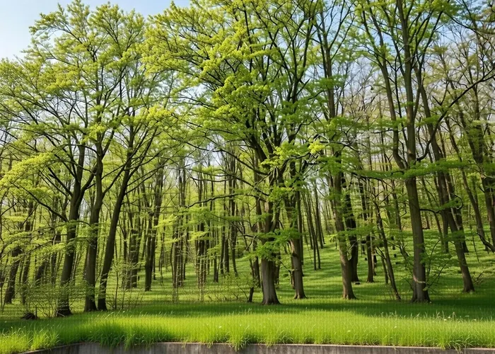 Cosy At Hambachtal Apartamento