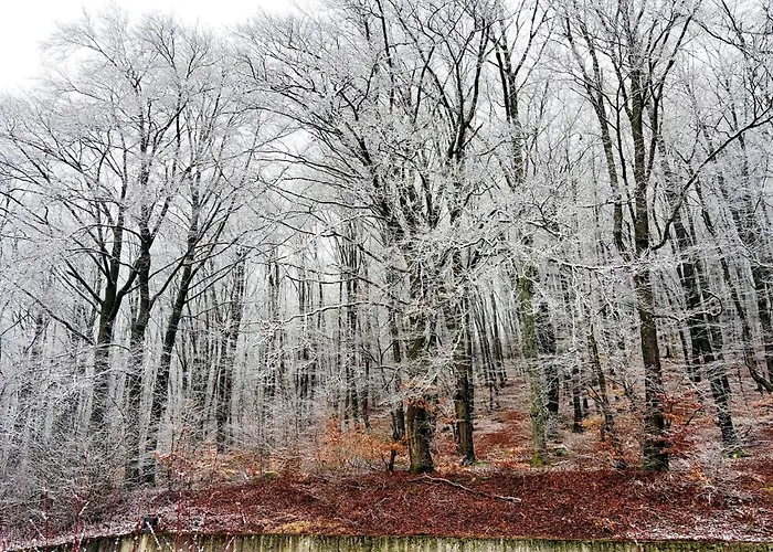 Cosy At Hambachtal Apartamento
